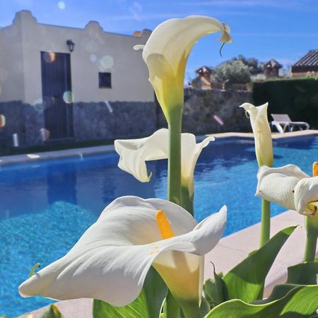 Chalet Bella Mendoza Conil De La Frontera Exteriér fotografie