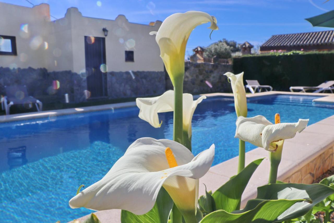 Chalet Bella Mendoza Conil De La Frontera Exteriér fotografie